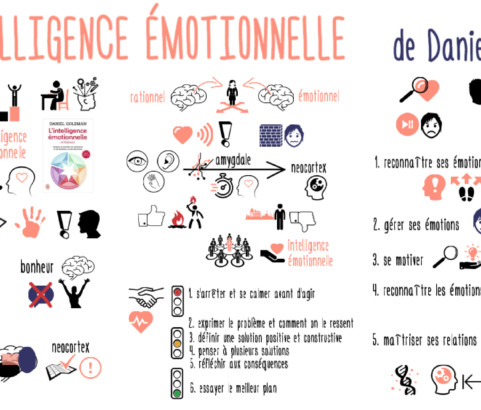 Intelligence émotionnelle : pourquoi elle est plus importante que le Q.I. de Daniel Goleman