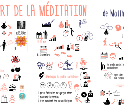 L’art de la méditation de Matthieu Ricard