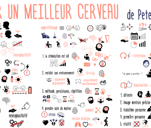 Améliorez les performances de votre cerveau grâce à la neuroplasticité !