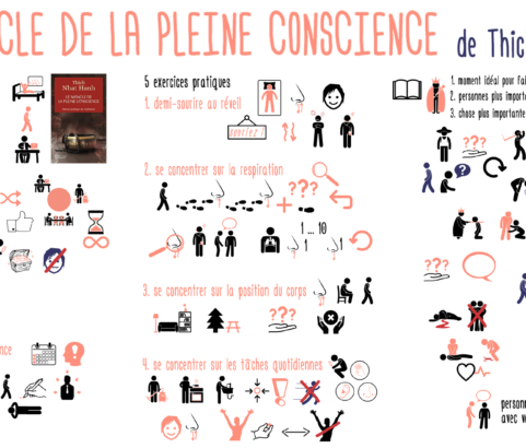 5 exercices simples pour cultiver la pleine conscience sans méditer : le miracle de la pleine conscience de Thich Nhat Hanh